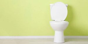 How to Keep Your Toilet Working Well